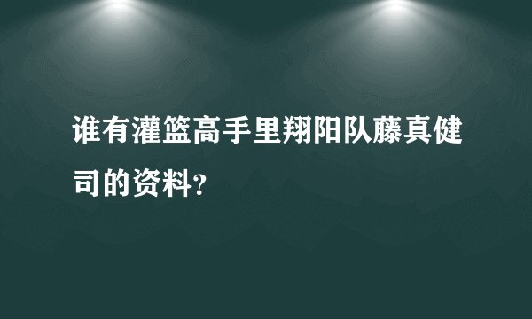 谁有灌篮高手里翔阳队藤真健司的资料？