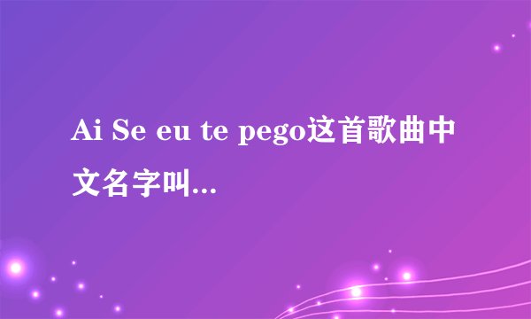 Ai Se eu te pego这首歌曲中文名字叫什么，还有歌词~~！