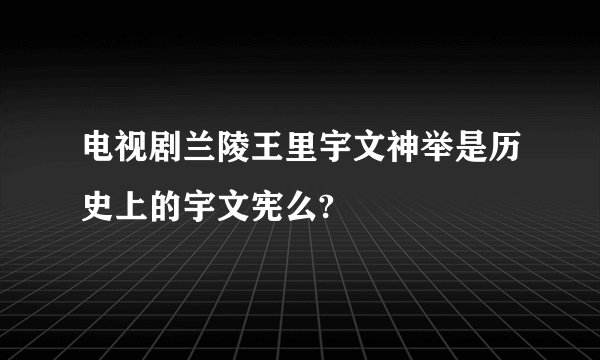电视剧兰陵王里宇文神举是历史上的宇文宪么?