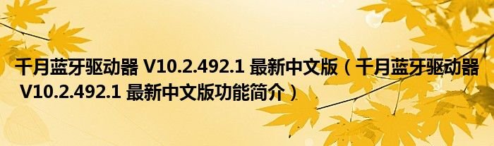 千月蓝牙驱动器V1024921最新中文版千月蓝牙驱动器V1024921最新中文版功能简介