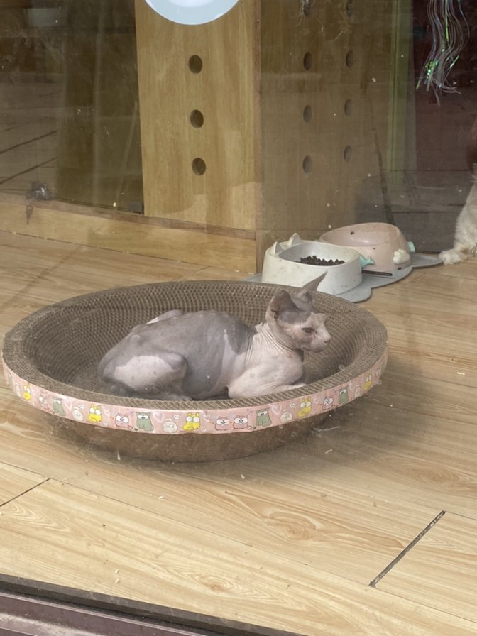 选修课挂科怎么办？