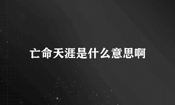 亡命天涯是什么意思啊