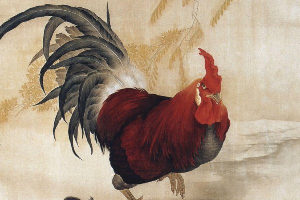 红霞满天什么动物