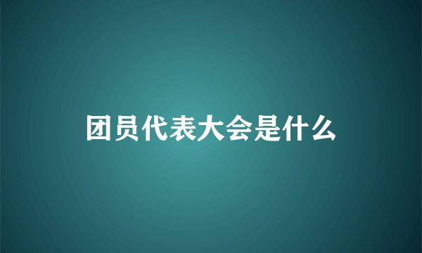 团员代表大会是什么