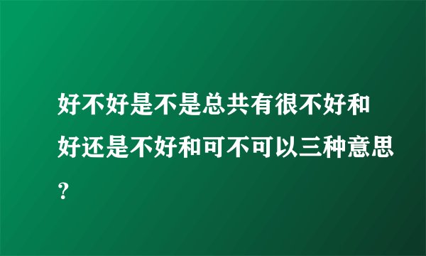 好不好是不是总共有很不好和好还是不好和可不可以三种意思？