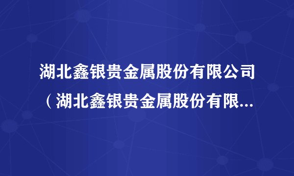 湖北鑫银贵金属股份有限公司（湖北鑫银贵金属股份有限公司副董事长）