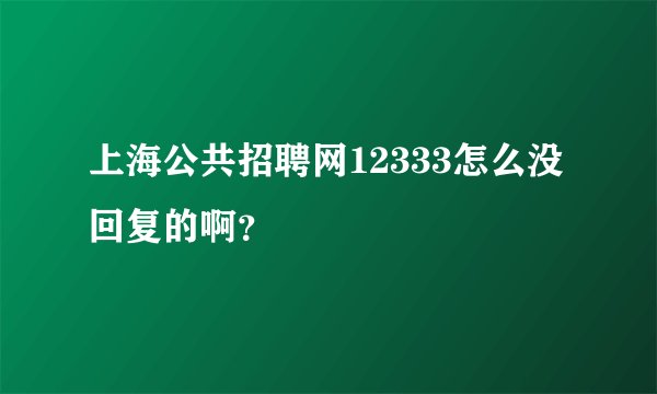 上海公共招聘网12333怎么没回复的啊？