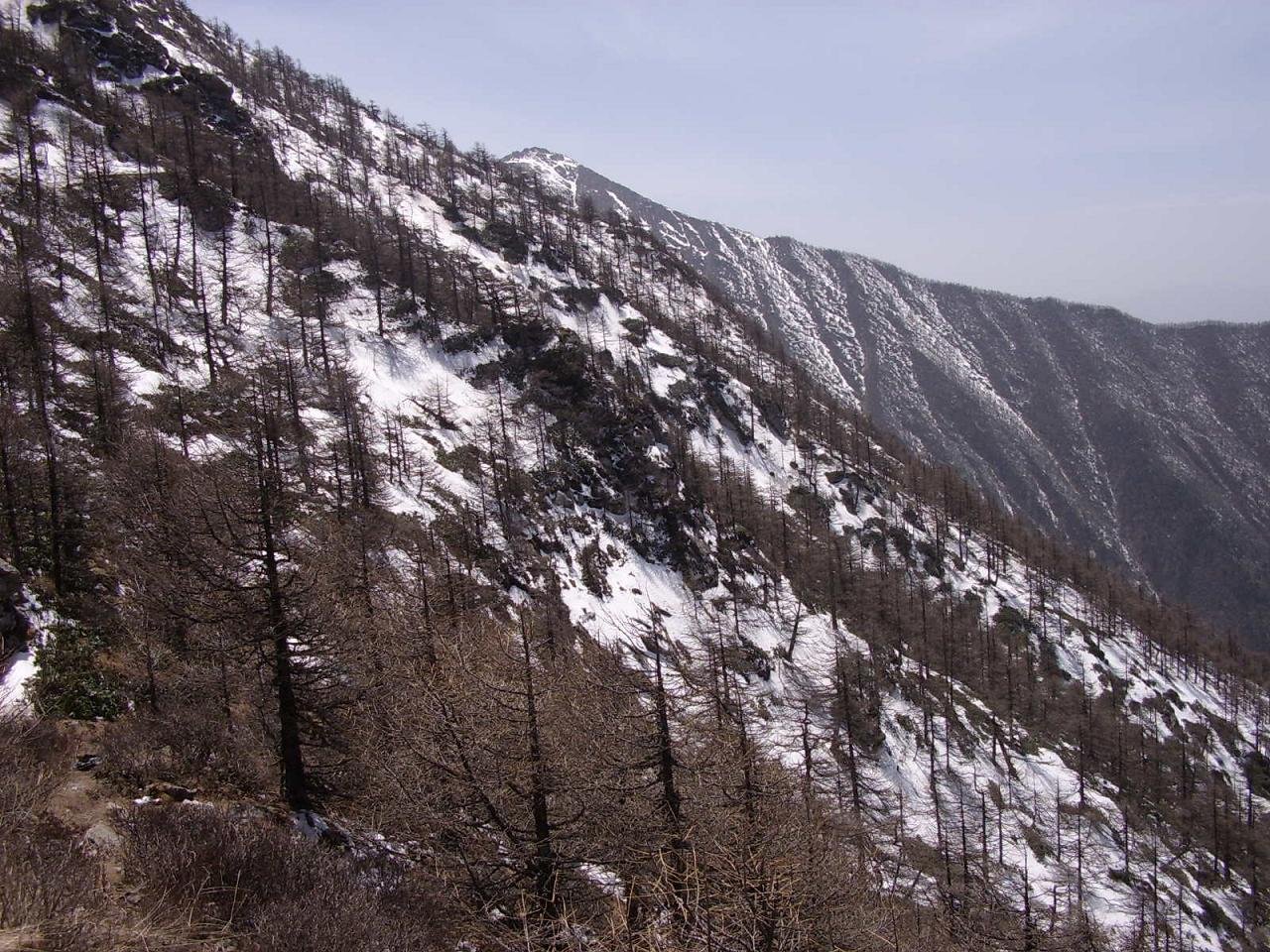 众多游客滞留在太白山山顶超2小时，游客们能受得了山顶上的寒风吗？