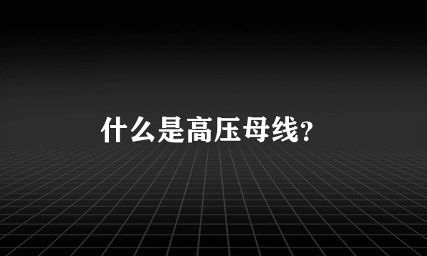 什么是高压母线？