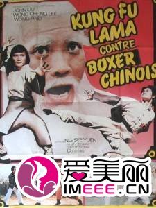 南拳北腿斗金狐的演员列表