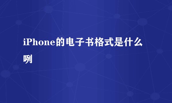 iPhone的电子书格式是什么咧