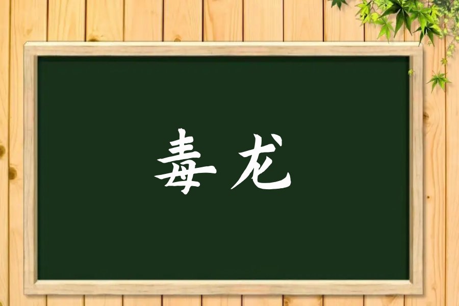 毒龙的意思是什么？