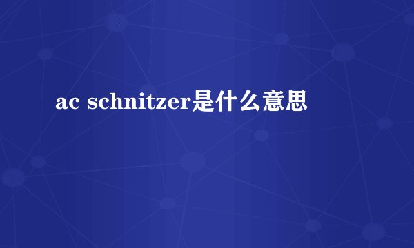 ac schnitzer是什么意思