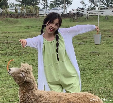 虞书欣排名第一被夸,但杨超越排名第二却被骂,为什么会有这么大的差距呢?