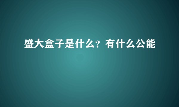 盛大盒子是什么？有什么公能