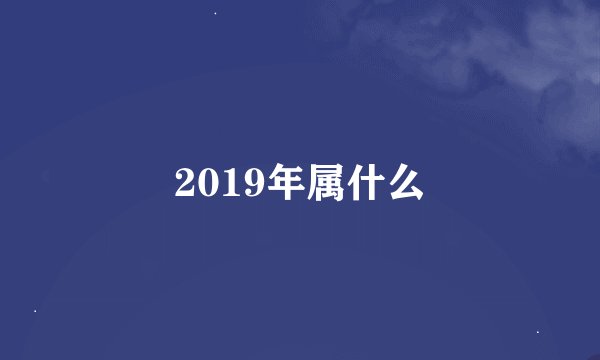 2019年属什么
