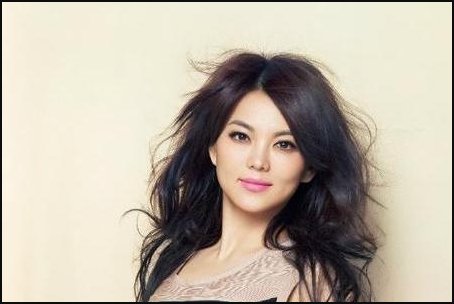 李湘的详细资料