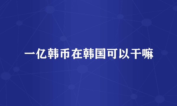一亿韩币在韩国可以干嘛