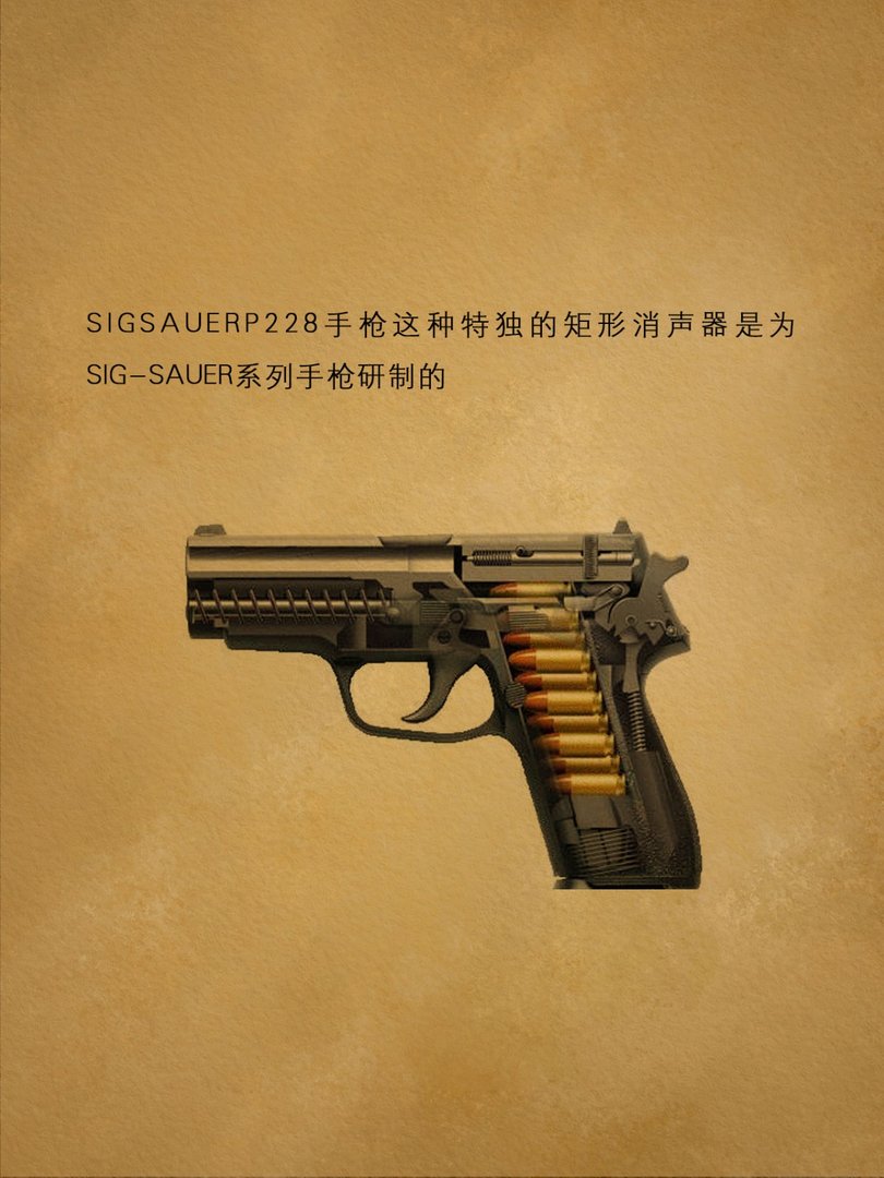 SIGSAUERP228手枪