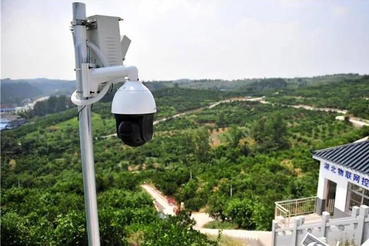 监控人boss怎么画