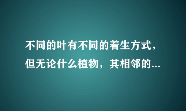 不同的叶有不同的着生方式，但无论什么植物，其相邻的两片叶总是不重叠的，而形成镶嵌式的排列，这是植物