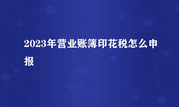 2023年营业账簿印花税怎么申报