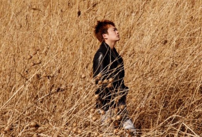 歌词里带 直到 多年以后