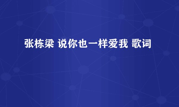 张栋梁 说你也一样爱我 歌词