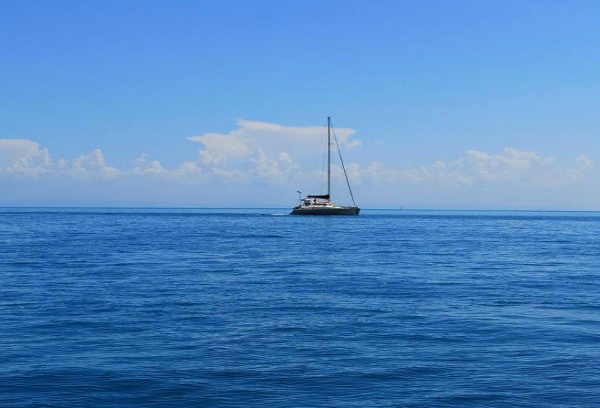 什么一色四字成语