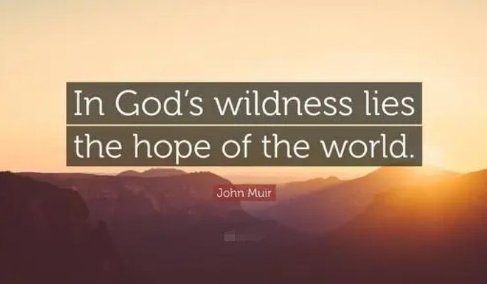 希望的英语单词是什么？