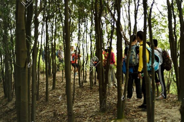 循迹 寻迹 什么意思