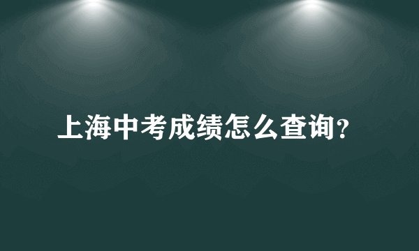 上海中考成绩怎么查询？