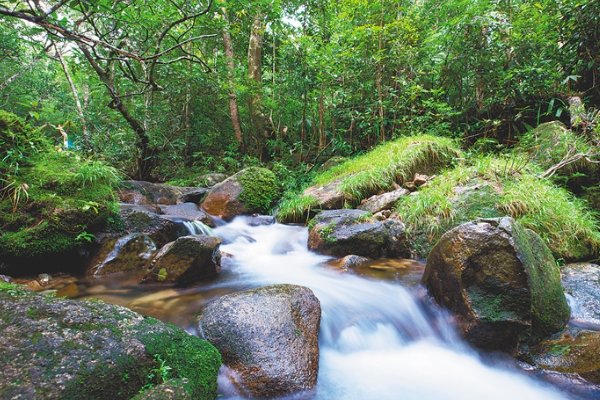 中国建立了几个国家公园