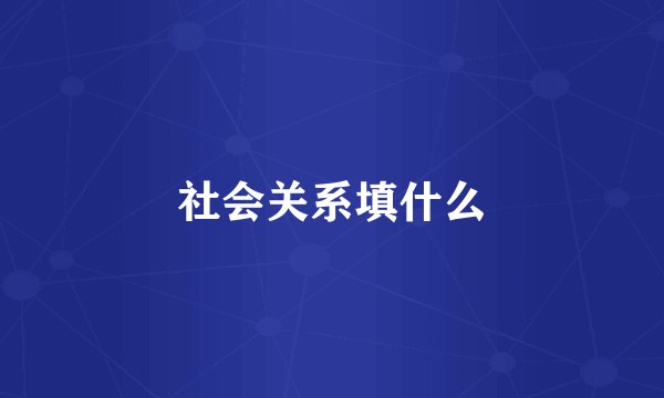社会关系填什么