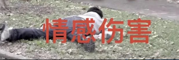 emotional damage翻译