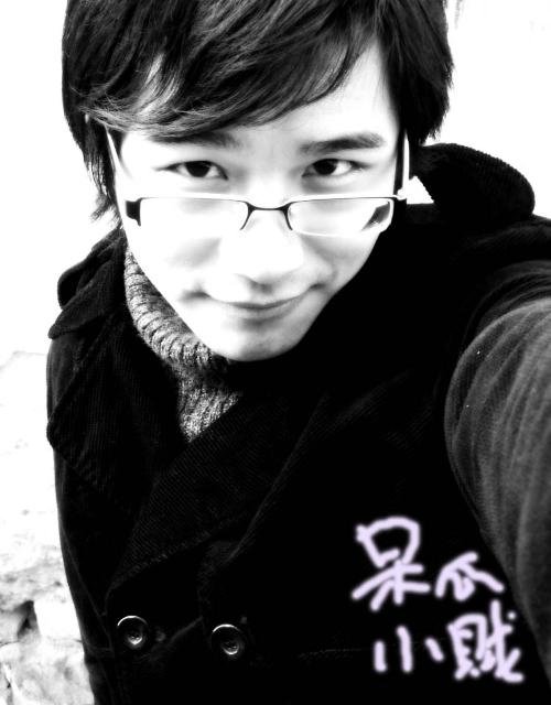 呆瓜小贼的介绍