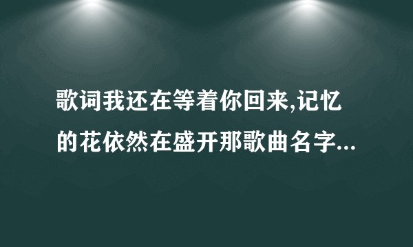 歌词我还在等着你回来,记忆的花依然在盛开那歌曲名字叫什么啊？