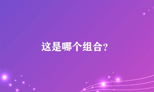 这是哪个组合？