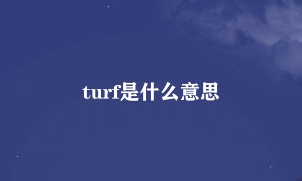 turf是什么意思
