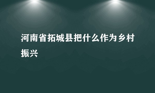 河南省拓城县把什么作为乡村振兴