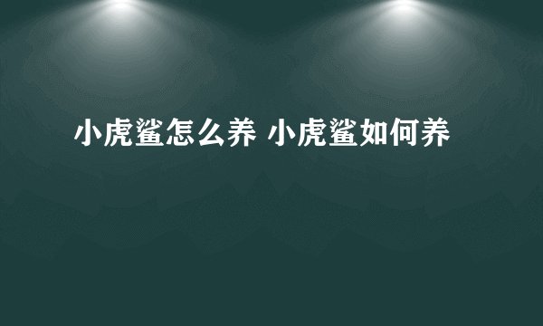 小虎鲨怎么养 小虎鲨如何养