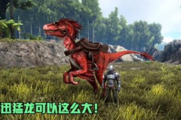 方舟十大稀有龙都有什么?