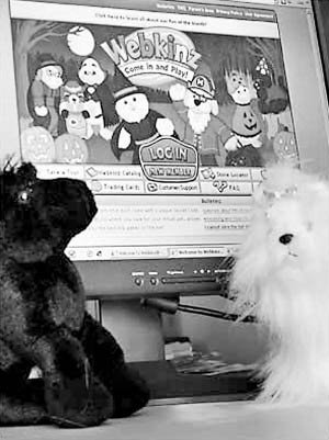 网娃的虚拟世界