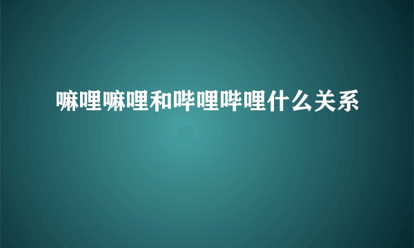 嘛哩嘛哩和哔哩哔哩什么关系