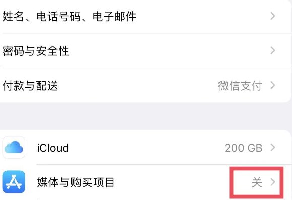 苹果手机如何下载pubg国际服