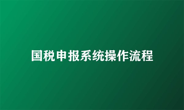 国税申报系统操作流程