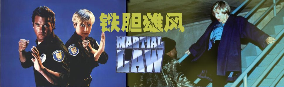 铁胆雄风的剧情介绍