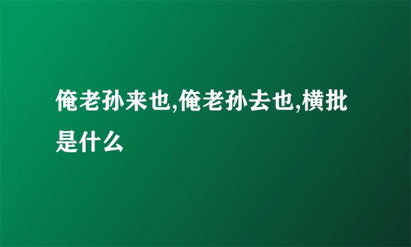 俺老孙来也,俺老孙去也,横批是什么