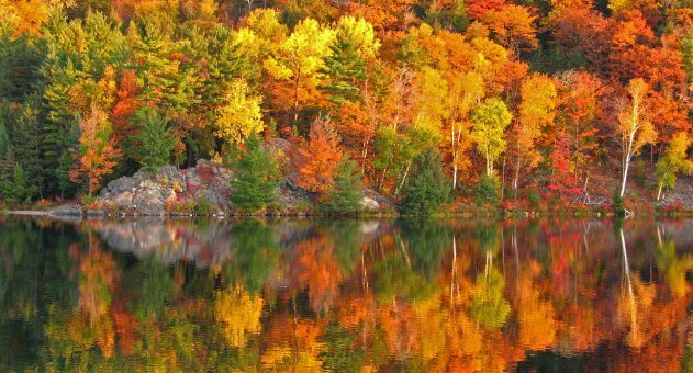 秋的原文及翻译是什么？