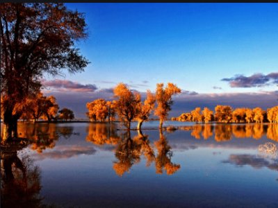 阿克苏教育局联系方式